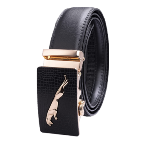 Accessories1