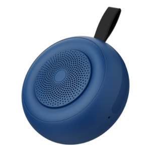 Bluetooth speakers2
