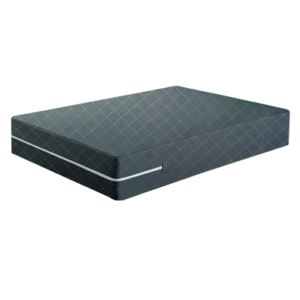 Mattress Protechtor3
