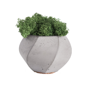 Plants & Planters3